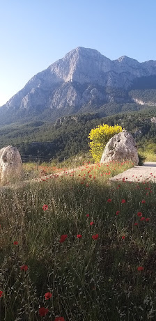 Pan Camping Yerel İşletme fotoğrafı 4